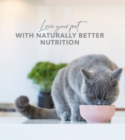 Feline Natural Lactose Free Milk For Cats