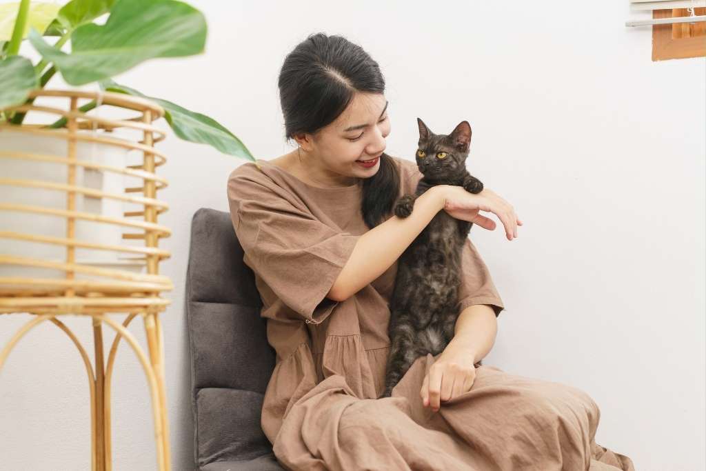 Does Kitty Have What It Takes to Be a Therapy Cat?
