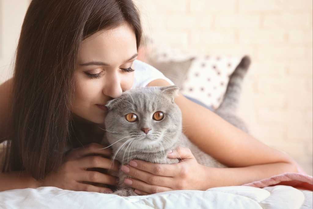 How to Tell Your Cat You Love Them!
