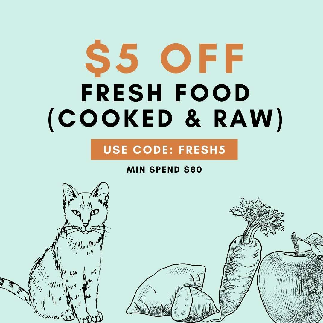 Cat food clearance online store