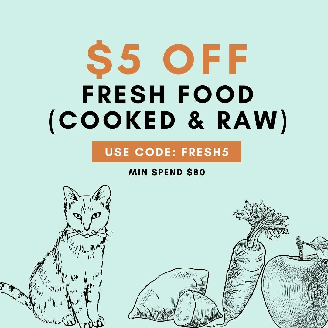 Buy Fresh Cooked & Raw Cat Food - Curious Cat People Singapore Online Pet Store