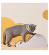 HONEYCARE Cat Scratching Post (Polar Bear)