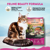 Addiction Duck Royal Feline Beauty Skin & Coat Dry Cat Food