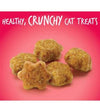 Fruitables Crunchy Salmon with Cranberry Cat Treats