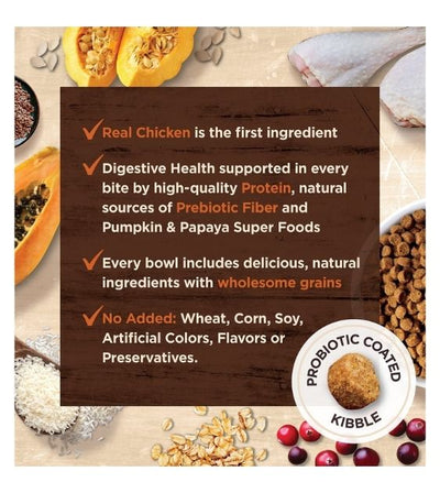 Wellness CORE Digestive Health with Wholesome Grains Chicken Recipe (Chicken & Rice) Dry Cat Food