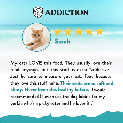 Addiction Salmon Bleu Complete & Balanced Skin & Coat Dry Cat Food