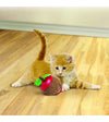 Kong Scratch Apple Cat Toy