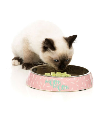 FuzzYard Featherstorm Melamine Cat Feeding Bowl