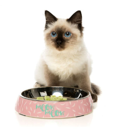 FuzzYard Featherstorm Melamine Cat Feeding Bowl