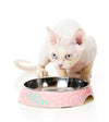 FuzzYard Featherstorm Melamine Cat Feeding Bowl