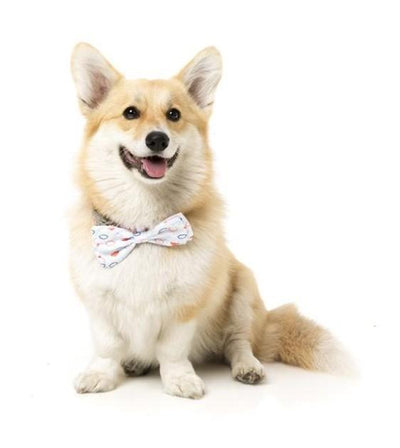 FuzzYard Cloud Bowtie For Cats & Dogs