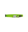 Red Dingo Cat Collar Classic (Lime Green)