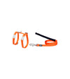 Red Dingo Classic Cat Harness and Lead (Orange)