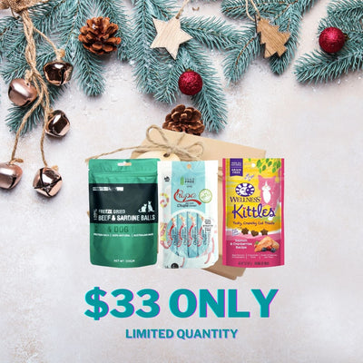 $26 ONLY: The Curious Box (Catch Of The Season)