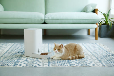PETKIT FRESH Element Mini 2.8L Smart Pet Cat & Dog Feeder