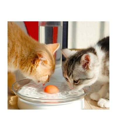 Desimore Kitty Spring - Non-Electric, No-Hassle Cat Fountain