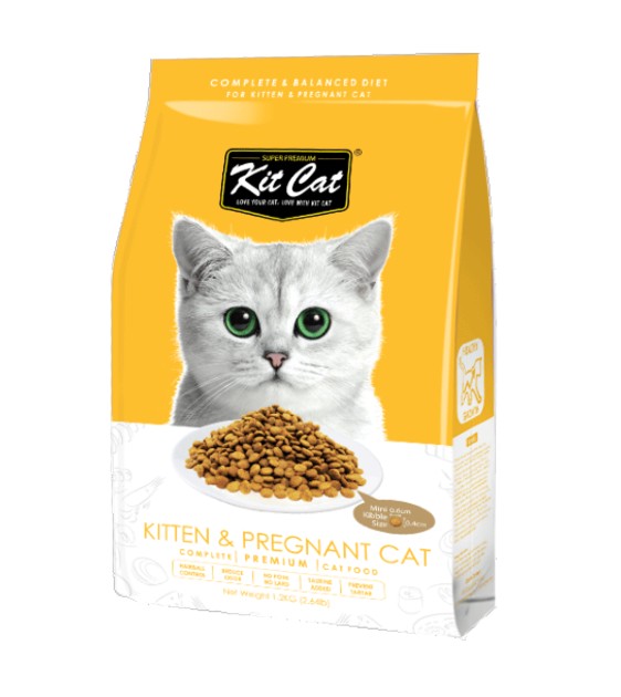 Kit Cat Kitten & Pregnant Dry Cat Food