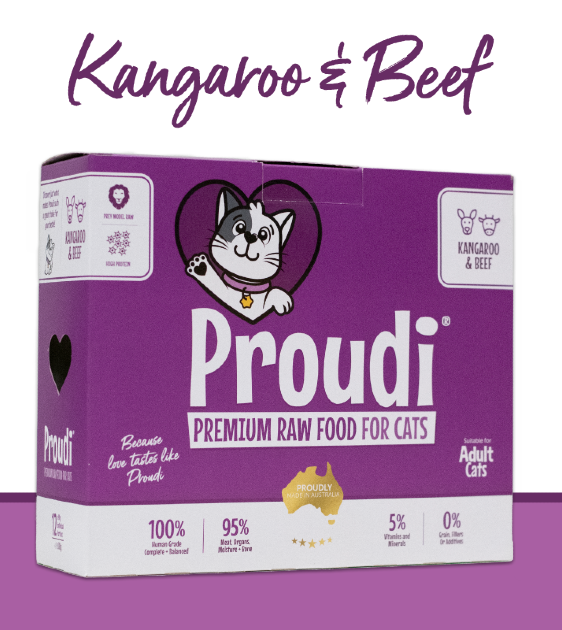 Proudi Raw Cat Food (Kangaroo & Beef)