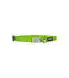 Red Dingo Cat Collar Classic (Lime Green)
