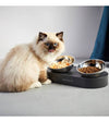 PETKIT FRESH NANO Metal Double Cat & Dog Feeding Bowl